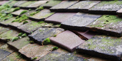 Stoke Poges roof repair costs